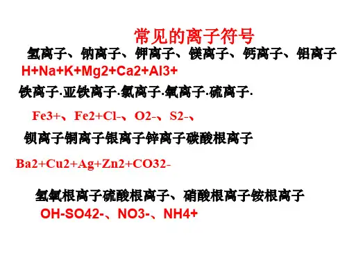 常见的离子符号,化学式[优质PPT]