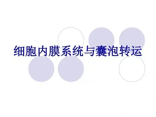 第五章细胞内膜系统与囊泡转运