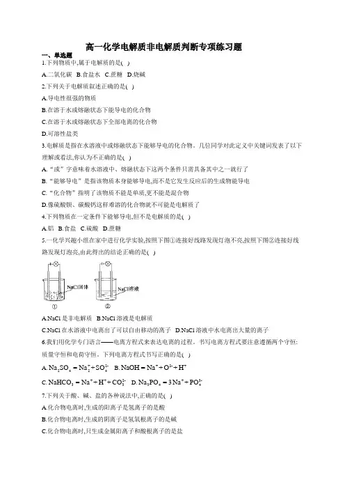 高一化学电解质非电解质判断专项练习题(附答案)
