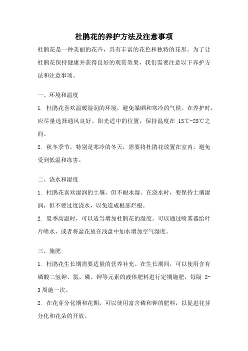 杜鹃花的养护方法及注意事项