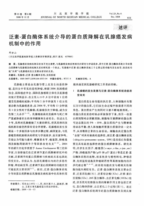 泛素-蛋白酶体系统介导的蛋白质降解在乳腺癌发病机制中的作用