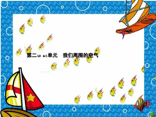 中考化学总复习第二单元我们周围的空气