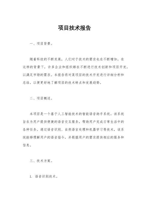 项目技术报告