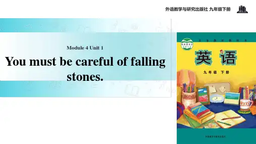 外研社九年级下册英语课件：Module 4 Unit 1 You must be careful o