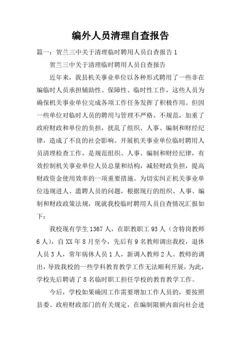 编外人员清理自查报告doc