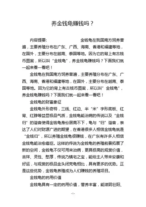 养金钱龟赚钱吗？