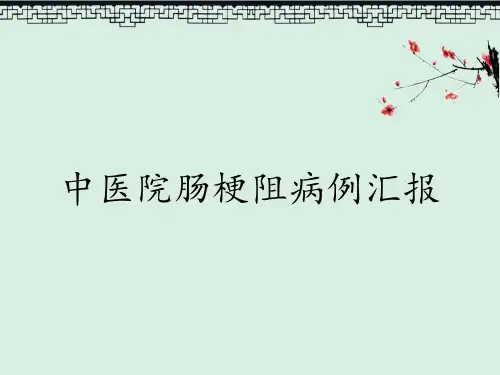 中医院肠梗阻病例汇报