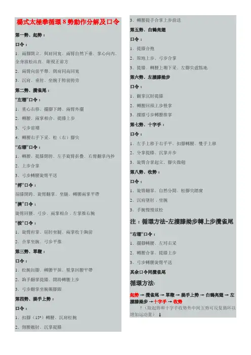 杨式太极拳循环8势动作分解及口令