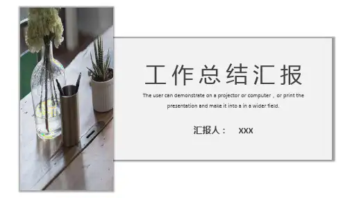 清新简约通用工作总结汇报PPT模板