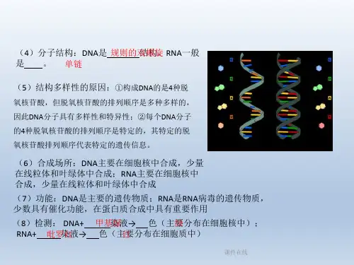 2020高考生物二轮复习第1章细胞的分子组成课件_2
