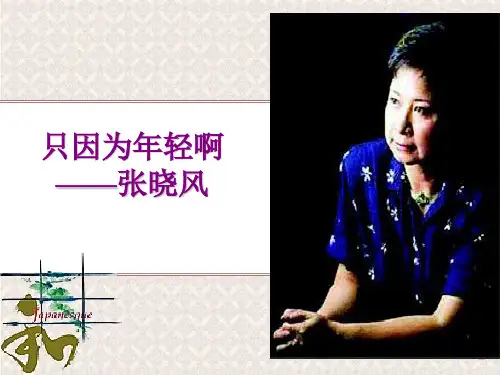 《只因为年轻啊》精美课件