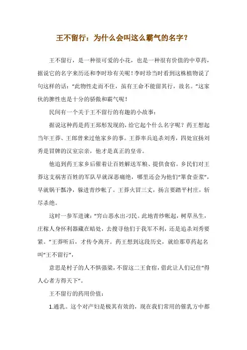 王不留行：为什么会叫这么霸气的名字？