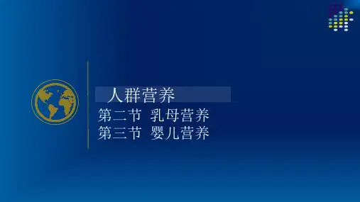 乳母营养与婴儿营养 PPT课件
