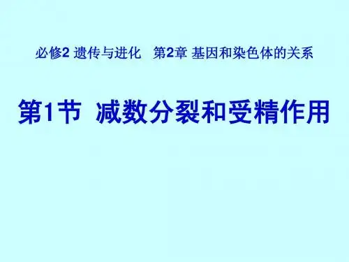 生物必修2第二章第一节