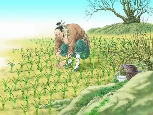 短文两篇·齐人有一妻一妾·弈秋PPT(优秀课件)11 人教版