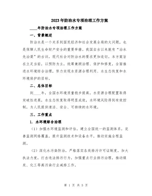2023年防治水专项治理工作方案