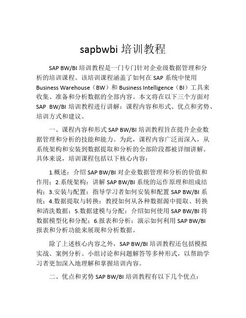 sapbwbi培训教程
