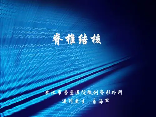 2017脊柱结核 ppt课件