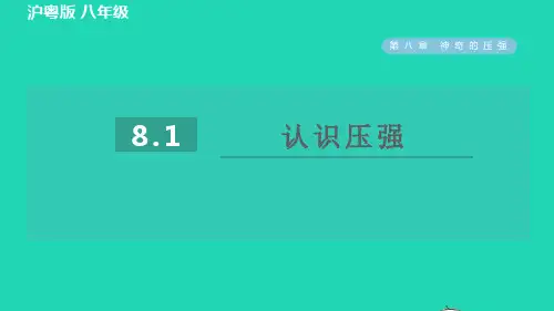 2022年春八年级物理下册第八章神奇的压强8.1认识压强习题课件新版粤教沪版