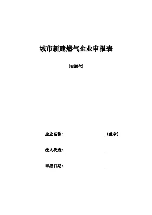 城市新建燃气企业申报表