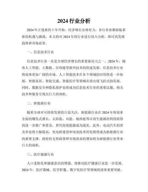 2024行业分析