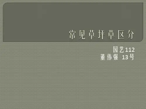 《常见草坪草区分》  园艺班