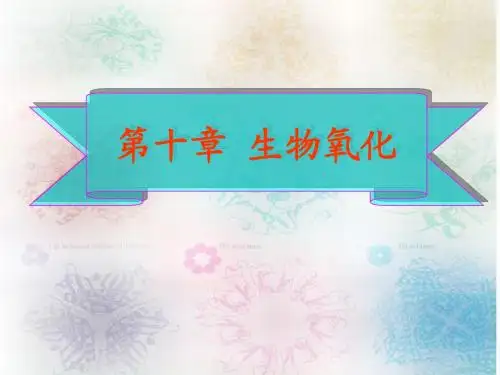 生物化学 第十章 生物氧化