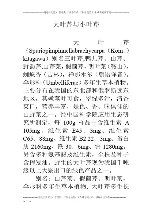 大叶芹与小叶芹