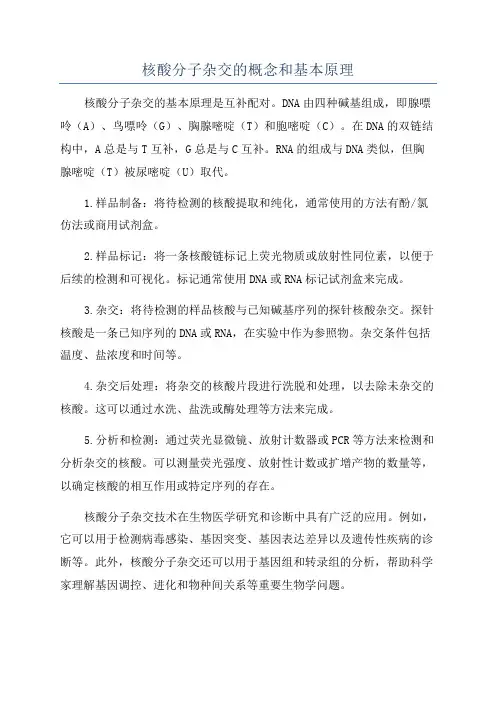 核酸分子杂交的概念和基本原理