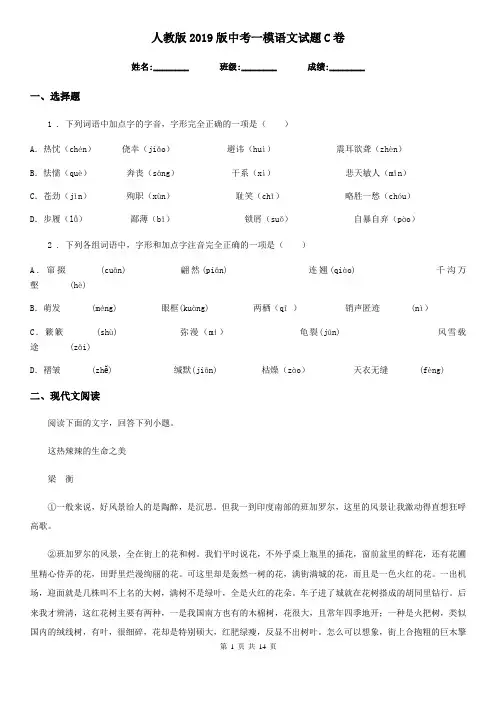 人教版2019版中考一模语文试题C卷(检测)