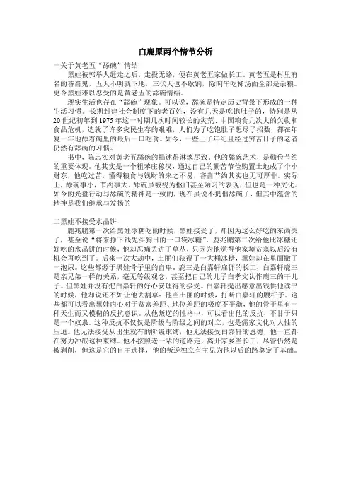 白鹿原两个情节分析