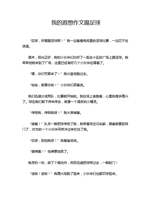 我的遐想作文踢足球