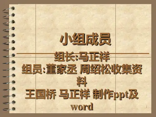 RGVPPT课件