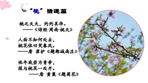 省级优秀课件-人教新编部编版七年级语文下册 第18课《一棵小桃树》(含视音频)
