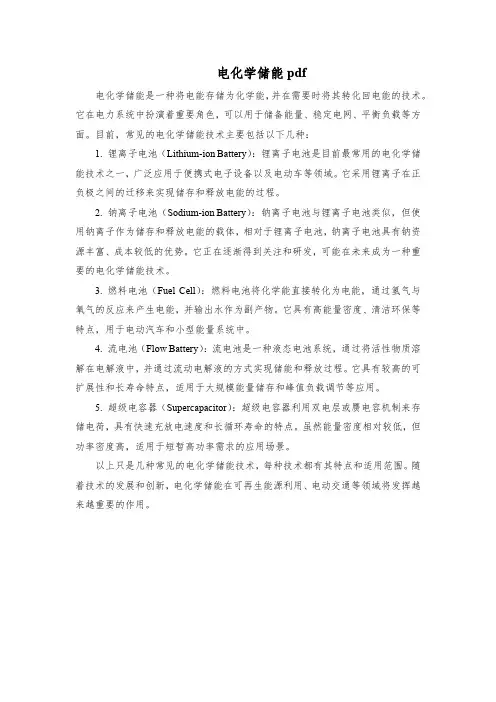 电化学储能pdf