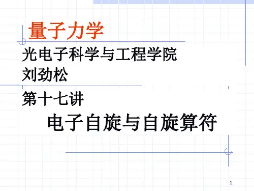 16讲电子自旋