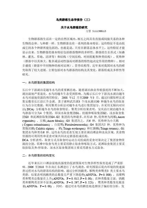 鸟类群落生态学报告