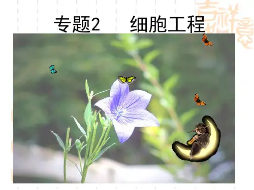 人教版高二选修三2.1植物细胞工程的基本技术 课件(共28张PPT)