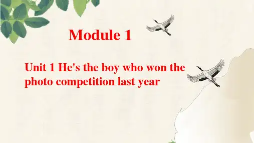 Module 11 Unit 1(课件)-九年级英语上册(外研版)