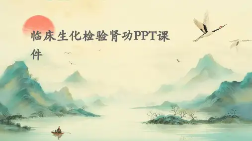 临床生化检验肾功ppt课件