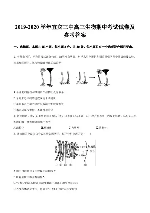 2019-2020学年宜宾三中高三生物期中考试试卷及参考答案