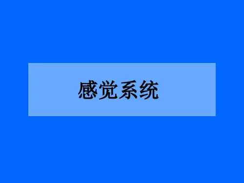 (完整版)感觉传导通路