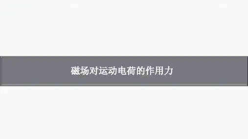 高考物理复习：磁场对运动电荷的作用力