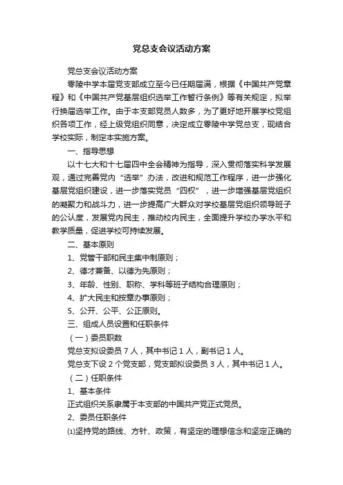 党总支会议活动方案