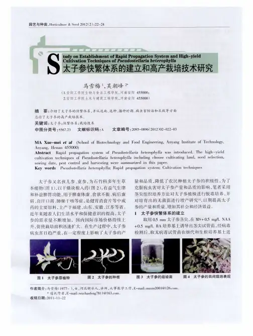 太子参快繁体系的建立和高产栽培技术研究