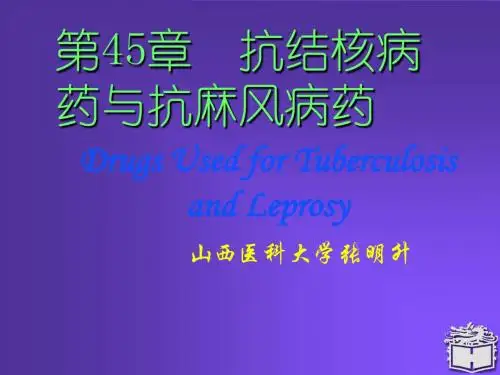 45抗结核与抗麻风