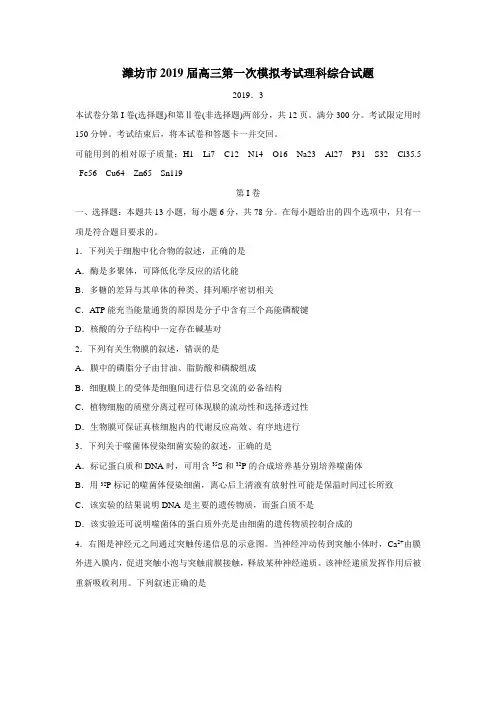 山东省潍坊市2019届高三第一次模拟考试理科综合试题及答案)