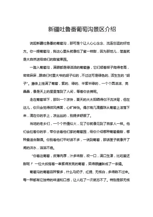 新疆吐鲁番葡萄沟景区介绍