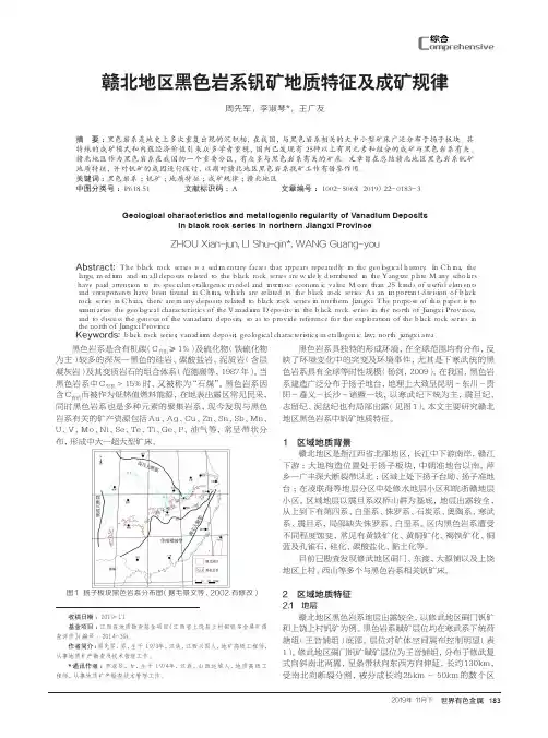 赣北地区黑色岩系钒矿地质特征及成矿规律