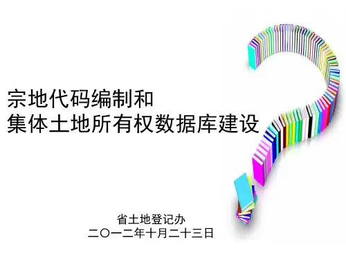 宗地代码编制方法和集体土地所有权数据库建设(李勇)